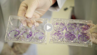 video thumbnail of petri dishes