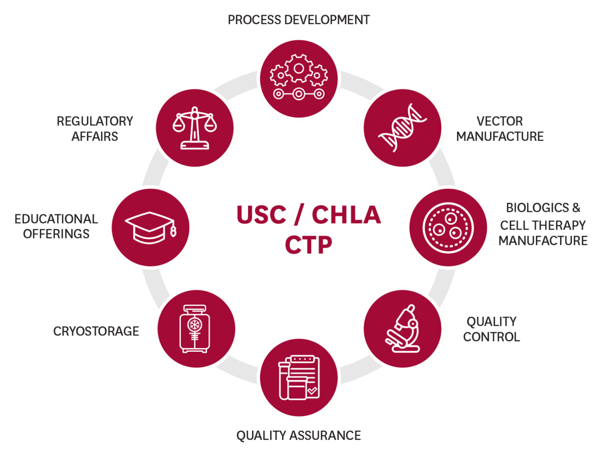 USC CHLA Services Infographic