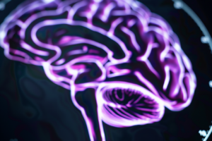 An image of a brain.