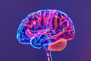An image of Brain.