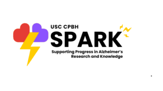 spark