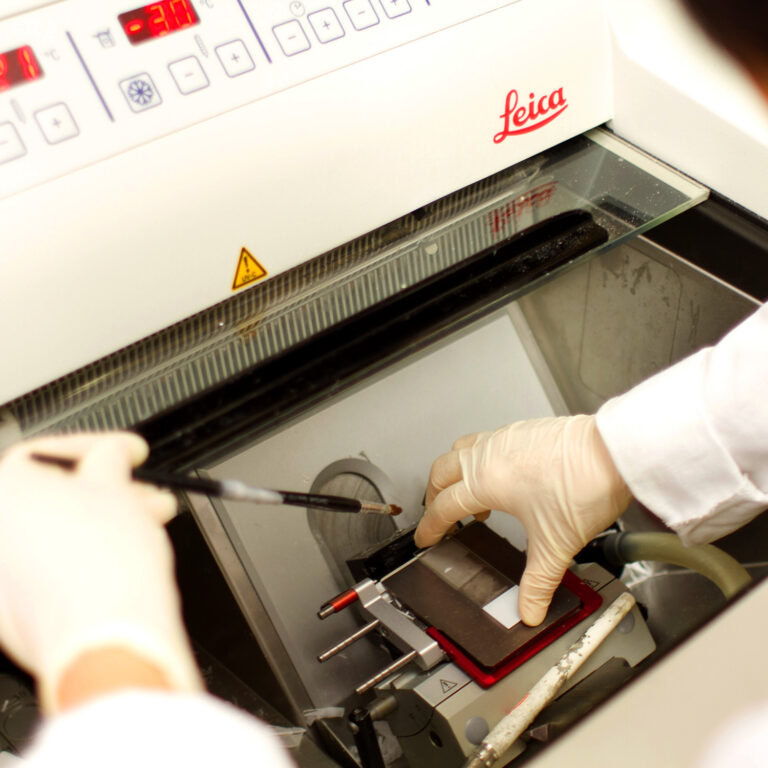 Dermatology Research