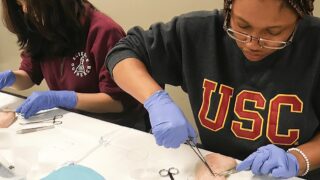 Undergraduate Health Science students work in a lab.