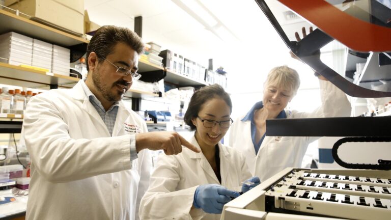 Graduate students and mentors in a lab environment