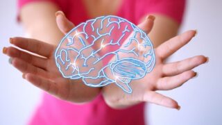 brain graphic with hands