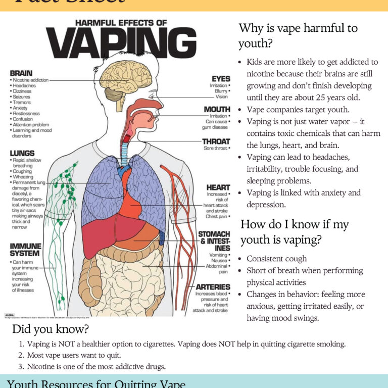 vaping endgame factsheet