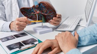 Doctor with model of the liver