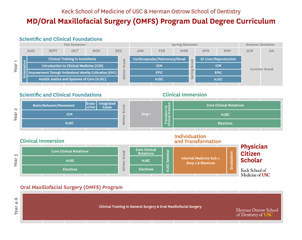MD-OMF curriculum infographic