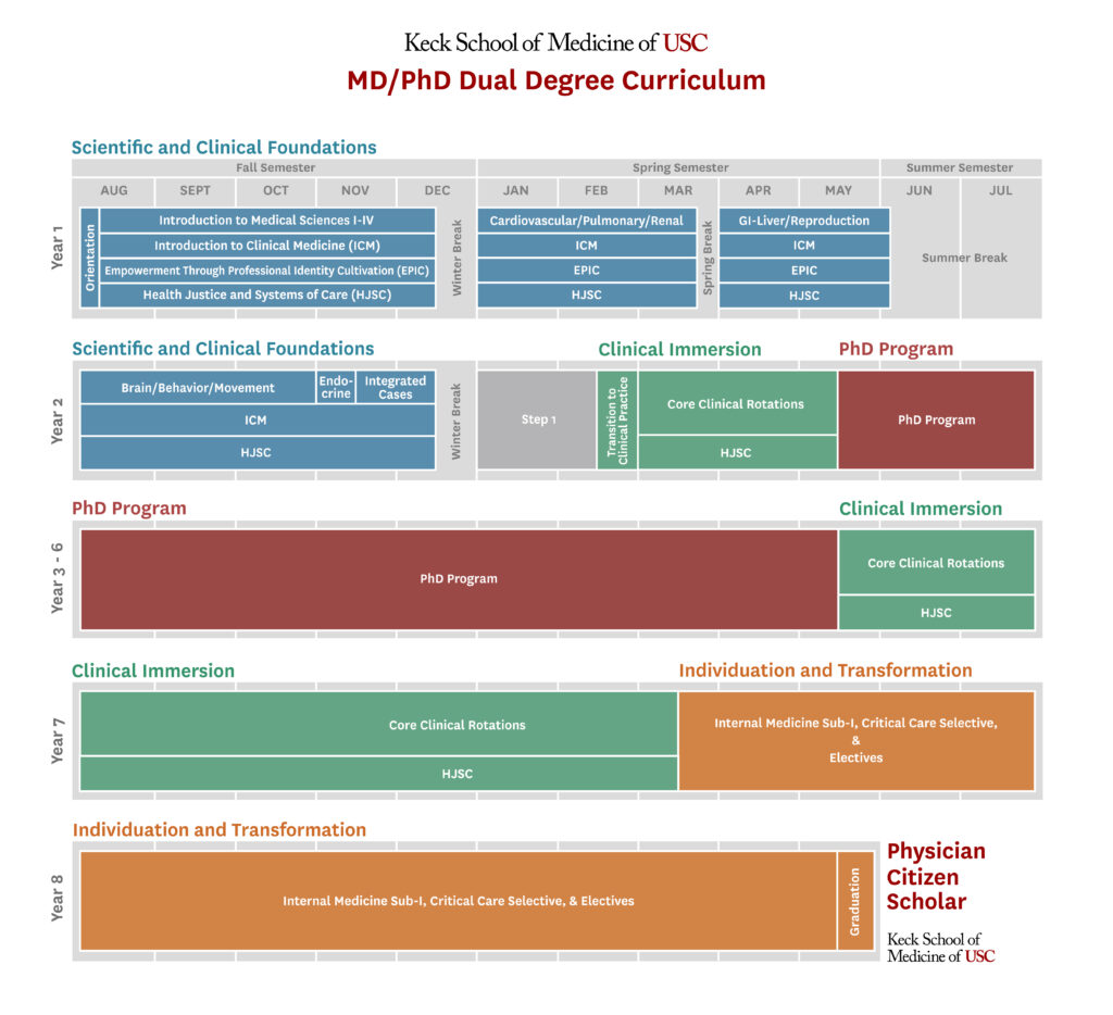 MD PhD Curriculum chart