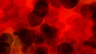 Red blood cells under a microscope. Pixabay