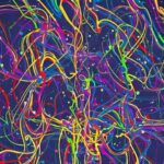 Colorful illustration of the human brain