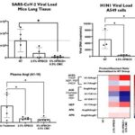 Figure 1 HPBCD barrier prevents infection of SARS-CoV-2 Delta infection in K18-hACE2 mice and H1N1 infection in A549 lung epithelial cell line. Plasma biomarkers (Angiotensin I and Angiotensin II) correlates with the efficacy response observed in these models.