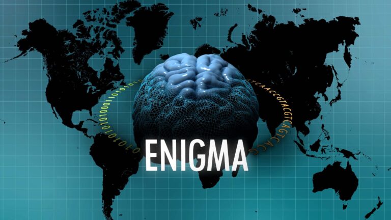 The Enhancing NeuroImaging Genetics through Meta-Analysis (ENIGMA) Consortium is a collaborative network of researchers working together on a range of large-scale studies that integrate data from institutions across the globe. Organized into Working Groups that tackle questions in neuroscience, genetics, and medicine, ENIGMA studies have analyzed neuroimaging data from thousands of subjects. Photo credit: USC Stevens INI.