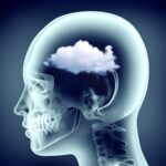 Keck School of Medicine of USC News Release Even "safe" air pollution levels can harm the developing brain, study finds In one of the first longitudinal studies of its kind, researchers from the Keck School of Medicine of USC found that everyday air pollution can alter brain development patterns in adolescents. Air pollution is known to contribute to disease, which is why regulators such as the Environmental Protection Agency (EPA) set limits on emissions. But mounting evidence suggests that even pollution levels long thought to be safe can increase the risk of health problems, including in the brain. Now, research from the Keck School of Medicine of USC, funded by the National Institutes of Health and the EPA, have shown that even levels of certain pollutants considered safe by the EPA are linked to changes in brain function over time. The study, just published in the journal Environment International, used brain scan data from more than 9,000 participants in the Adolescent Brain Cognitive Development (ABCD) study, the largest-ever nationwide study of youth brain health. Children exposed to more pollutants showed changes in connectivity between various brain regions. In some areas, they had more connections than normal; in other areas, they had fewer. "A deviation in any direction from a normal trajectory of brain development—whether brain networks are too connected or not connected enough—could be harmful down the line," said Devyn L. Cotter, MSc, a doctoral candidate in neuroscience at the Keck School of Medicine and first author of the study. Communication between regions of the brain help us navigate virtually every moment of our day, from the way we take in information about our surroundings to how we think and feel. Many of those critical connections develop between the ages of 9 and 12 and can influence whether children experience normal or atypical cognitive and emotional development. "Air quality across America, even though 'safe' by EPA standards, is contributing to changes in brain networks during this critical time, which may reflect an early biomarker for increased risk for cognitive and emotional problems later in life," said Megan M. Herting, PhD, associate professor of population and public health sciences at the Keck School of Medicine and the study's senior author. Changes in brain connectivity To explore the link between air pollution and brain development, Herting, Cotter and their colleagues analyzed functional MRI scans from 9,497 participants in the ABCD study. Baseline brain scans were collected from children, ages 9 to 10, and a subset of children had follow-up scans collected two years later, allowing researchers to observe how brain connectivity changed over time. In particular, they analyzed the salience, frontoparietal and default-mode brain networks, as well as the amygdala and hippocampus—key regions of the brain known to be involved in emotion, learning, memory and other complex functions. Next, the researchers used EPA and other data to map air quality at each child’s residence, including levels of fine particulate matter (PM2.5), nitrogen dioxide (NO2) and ground-level ozone (O3). They then used advanced statistical tools to investigate how air pollution levels relate to changes in brain connectivity over time. In other words: are young brains developing differently when they are exposed to more pollution? Greater exposure to PM2.5 was linked to relative increases in functional connectivity between regions, while more exposure to NO2 predicted relative decreases in connectedness. Exposure to higher levels of O3 was associated with greater connections within the brain's cortex, but fewer connections between the cortex and other regions, such as the amygdala and hippocampus. To rule out other factors that could explain differences in brain development, the researchers controlled for sex, race/ethnicity, parental education level, household income, urban versus rural location and seasonality, as air pollution varies across winter and summer months. Tightening air quality rules The findings could prompt regulators to consider brain health, in addition to lung and cardiometabolic heath, when they set or adjust recommendations for air quality. While the EPA proposed strengthening standards for PM2.5 earlier this year, guidelines for annual NO2 have not changed since they were first set in 1971. "On average, air pollution levels are fairly low in the U.S., but we're still seeing significant effects on the brain," Cotter said. "That's something policymakers should take into account when they're thinking about whether to tighten the current standards." Cotter, Herting and their colleagues aim to look more closely at the chemical makeup of pollutants to determine how and why they cause harm in the brain, which could help further refine regulations. They also plan to continue using data from the ABCD study to analyze brain health over time. "Long term, does this lead to risk for psychopathology that continues to ramp up during mid- to late- adolescence? How does this affect people's trajectory of mental health?" Herting said. About this study In addition to Cotter and Herting, the study's other authors are Claire E. Campbell, Kirthana Sukumaran, Rob McConnell and Hedyeh Ahmadi from the Department of Population and Public Health Sciences, Keck School of Medicine of USC; Daniel A. Hackman from the USC Suzanne Dworak-Peck School of Social Work; Jiu-Chiuan Chen from the Department of Neurology, Keck School of Medicine of USC; Kiros Berhane from the Department of Biostatistics, Columbia University Mailman School of Public Health; and Joel Schwartz from the Department of Environmental Health, Harvard T. H. Chan School of Public Health. This work was supported by National Institutes of Health [NIEHS R01ES032295, R01ES031074, P30ES007048-23S1, 3P30ES000002-55S1] and the Environmental Protection Agency [RD 83587201, RD 83544101].