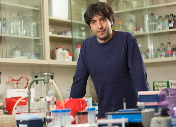 Valter Longo, director of the USC Longevity Institute (Photo/John Skalicky)