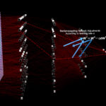 Illustration of a machine learning network used in neuroimaging.