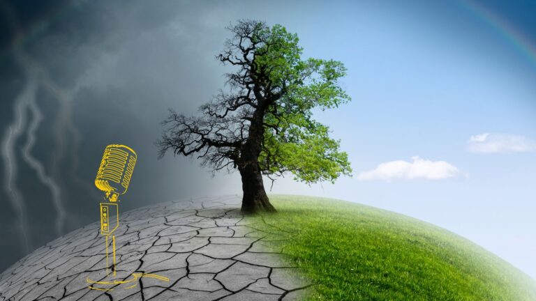 tree and earth half dead half alive