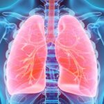 Image shows lungs and ribcage
