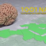 Image shows brain and map of Middle East and North Africa