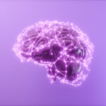 3D Human Brain With Connection Dots And Plexus Lines