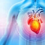 Image shows illustration of a human heart in the chest.