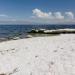 The Salton Sea — created by accident in 1905 by a canal system breach — was sustained largely by irrigation runoff from farmland until recently.