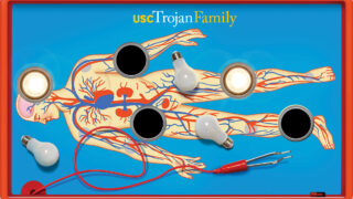 Illustration of an operation board game of a human body with light bulbs and little metal tongs