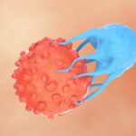 Rendering of CAR-T Cell Therapy Targeting Cancer Cells