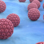 3D image of Human Papillomavirus (HPV) cells