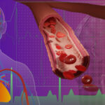 Image shows depiction of heart, arteries, veins and microvessels in an outline of a human form, with a close-up of blood cells in a microvessel in the brain