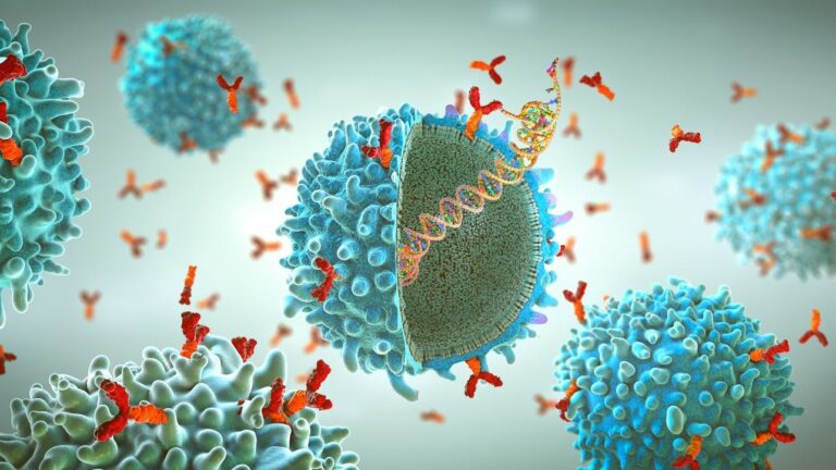 Image shows depiction of Genetically engineered chimeric antigen receptor immune cell
