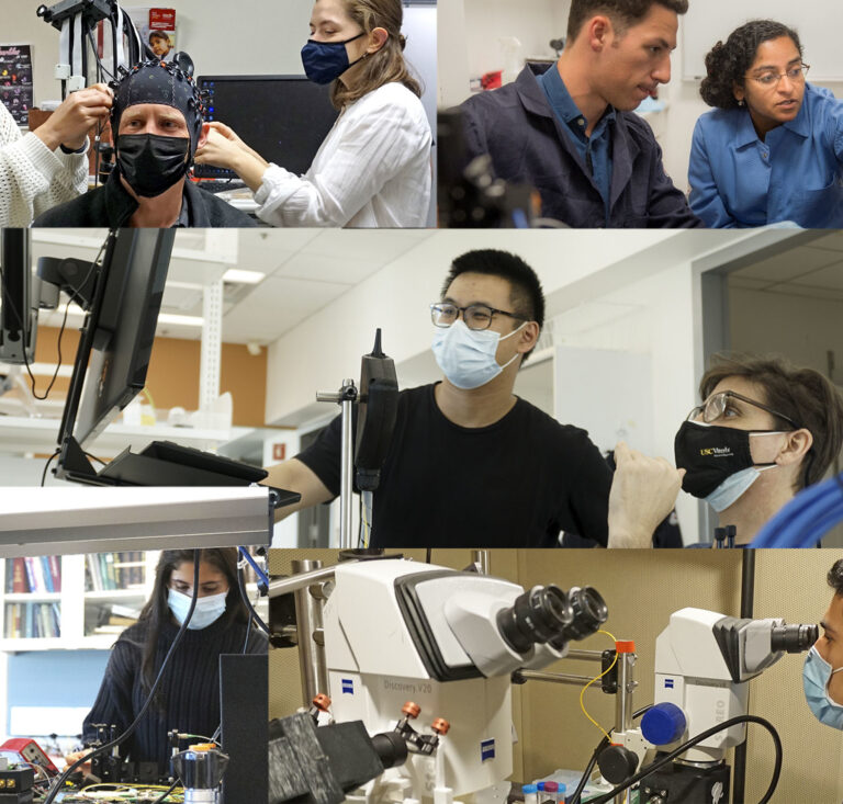 A collage of researchers and trainees working in research labs and conducting experiments.