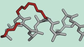 Peptidomimetic