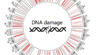 Illustration of damaged DNA