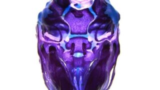 Ventral view of a mouse skull (Image by Camilla Teng)