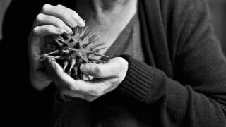 Hands holding a pointy spherical thing