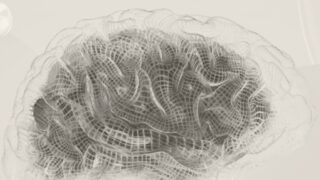 wireframe brain