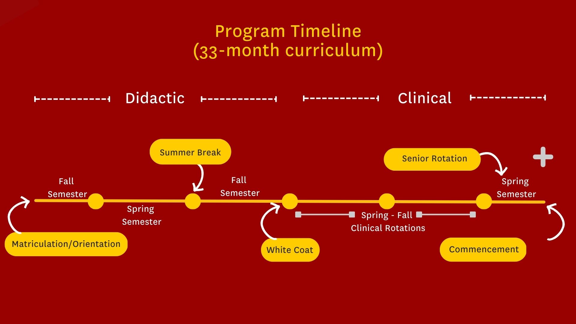 Diagram of PA Program 33-month curriculum.