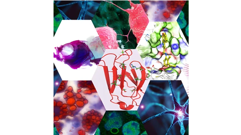 collage rectangle with sides