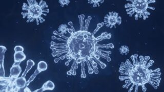 Virus particles