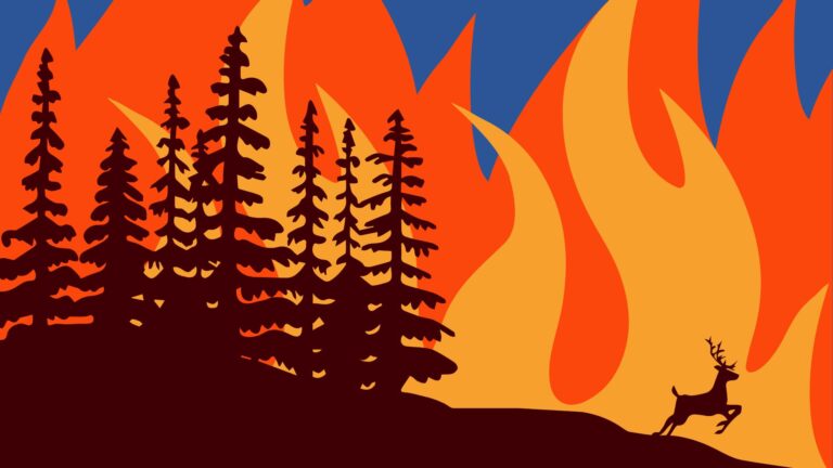 graphic of deer running from wild fire