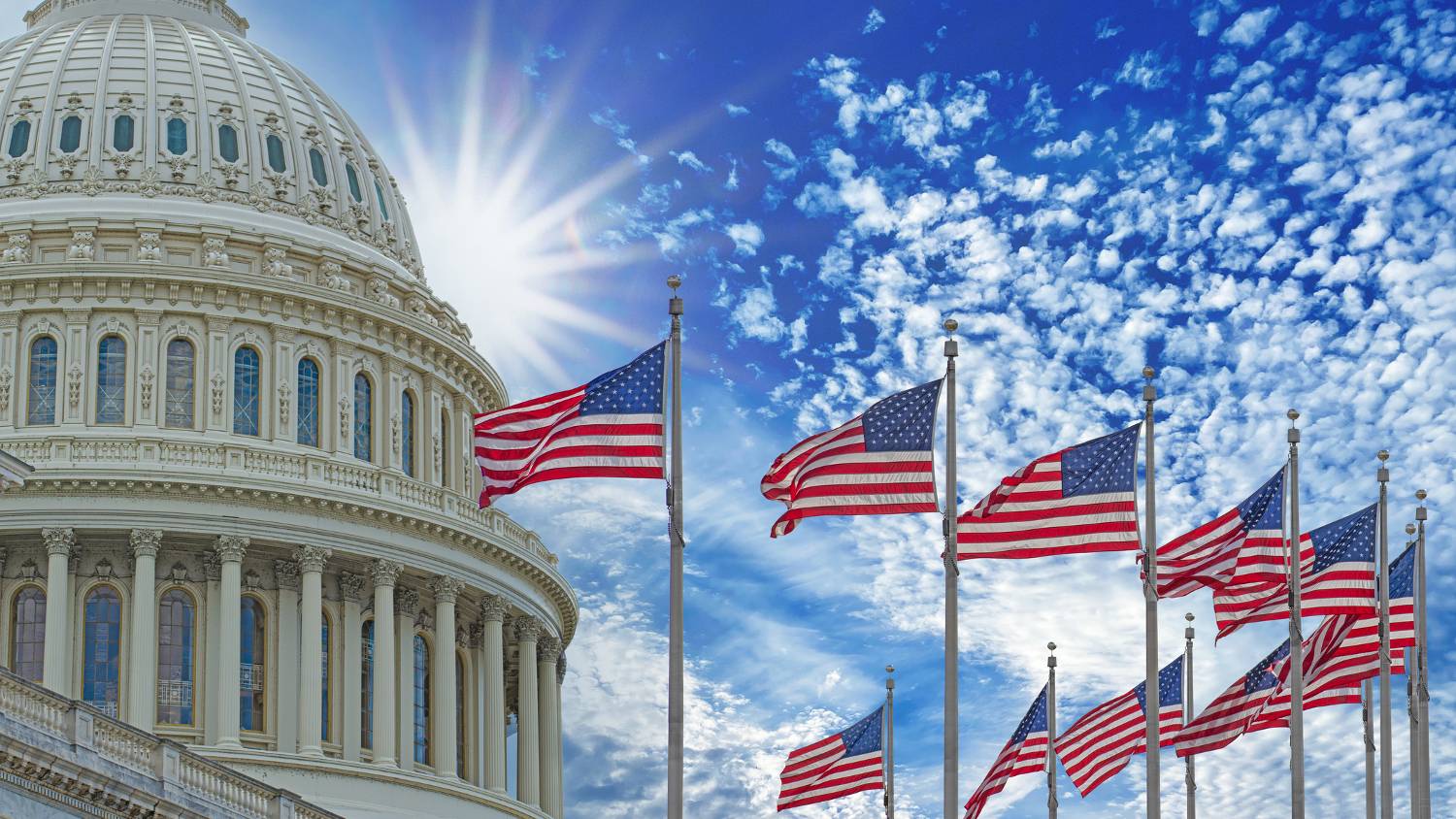 U.S. Flags in front of the Rotunda