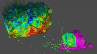 Goldkorn lab image. Fluorescence Lifetime Imaging Microscopy (FLIM) of a cancer cell spheroid with regions of varying metabolic states.