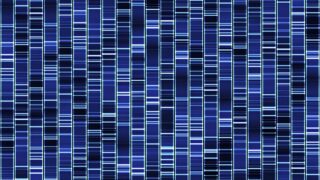 DNA genetic data on a flimsy