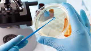 A petri dish and gloved hands