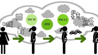 Infographic about pollution and pregnancy