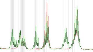 microsatellite repeats instability