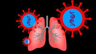 Lung coronavirus illustration