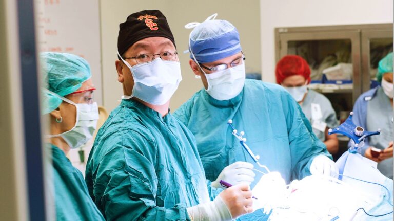 Surgeon performing in the operating theater