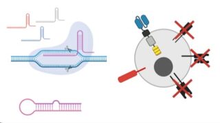 multiplexing process